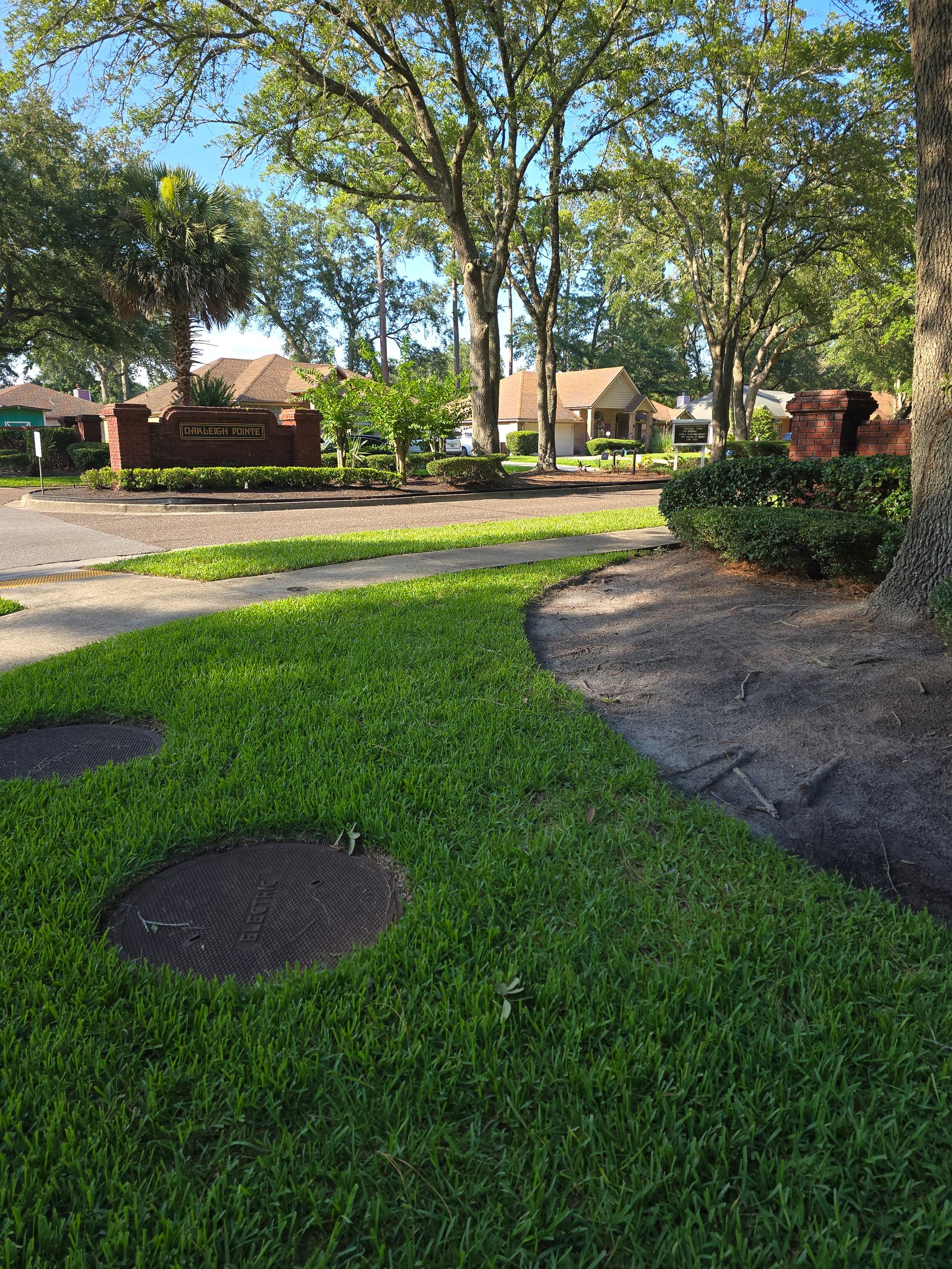 Beautiful oak tree lined streets of Oakleigh Pointe, Jacksonville FL 32218