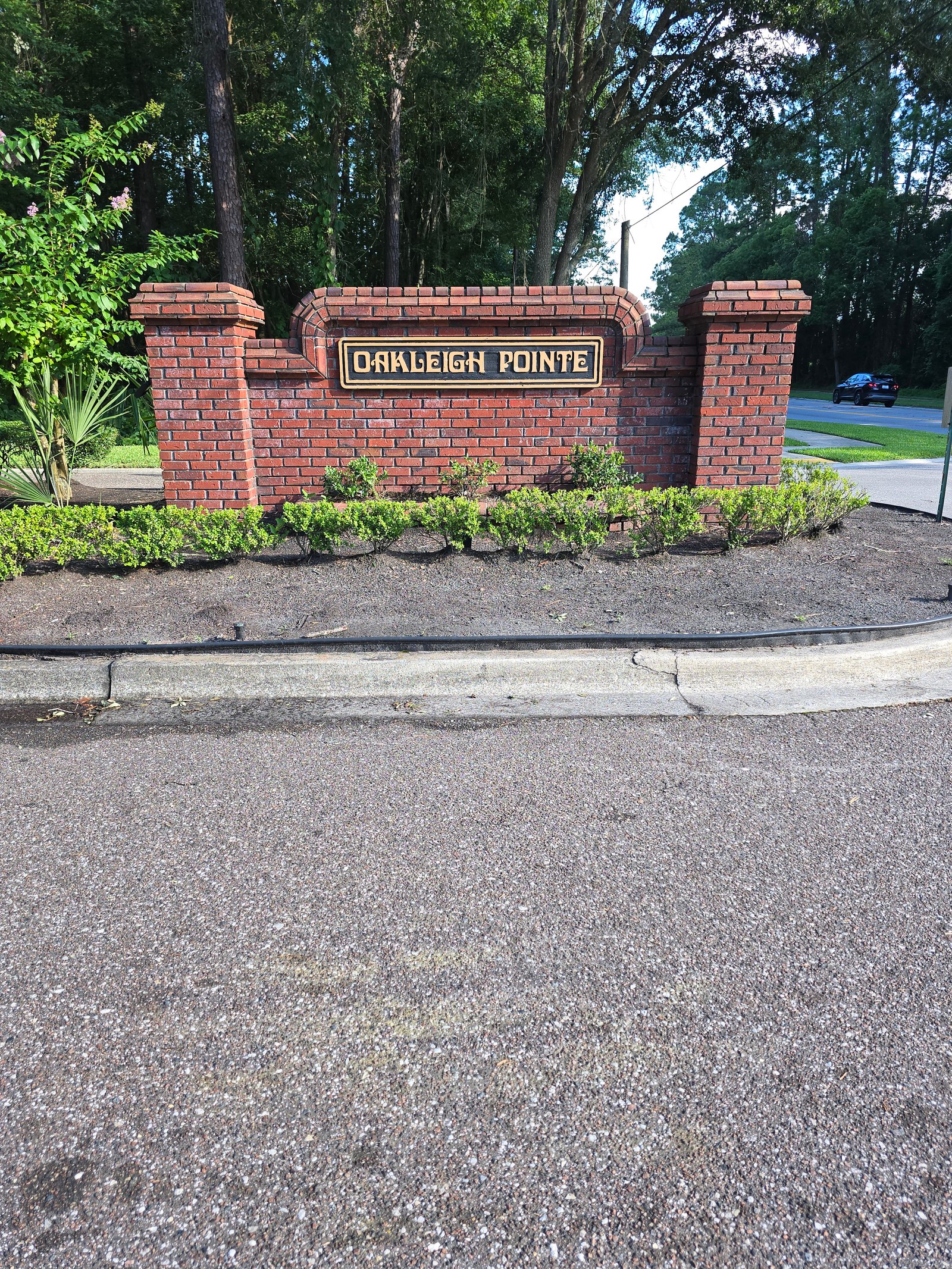 Mature oak trees throughout community